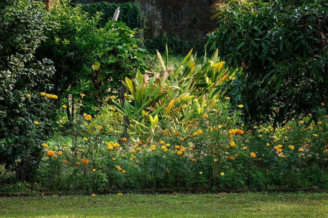 Why Seasonal Cleanup Matters for Your Outdoor Space