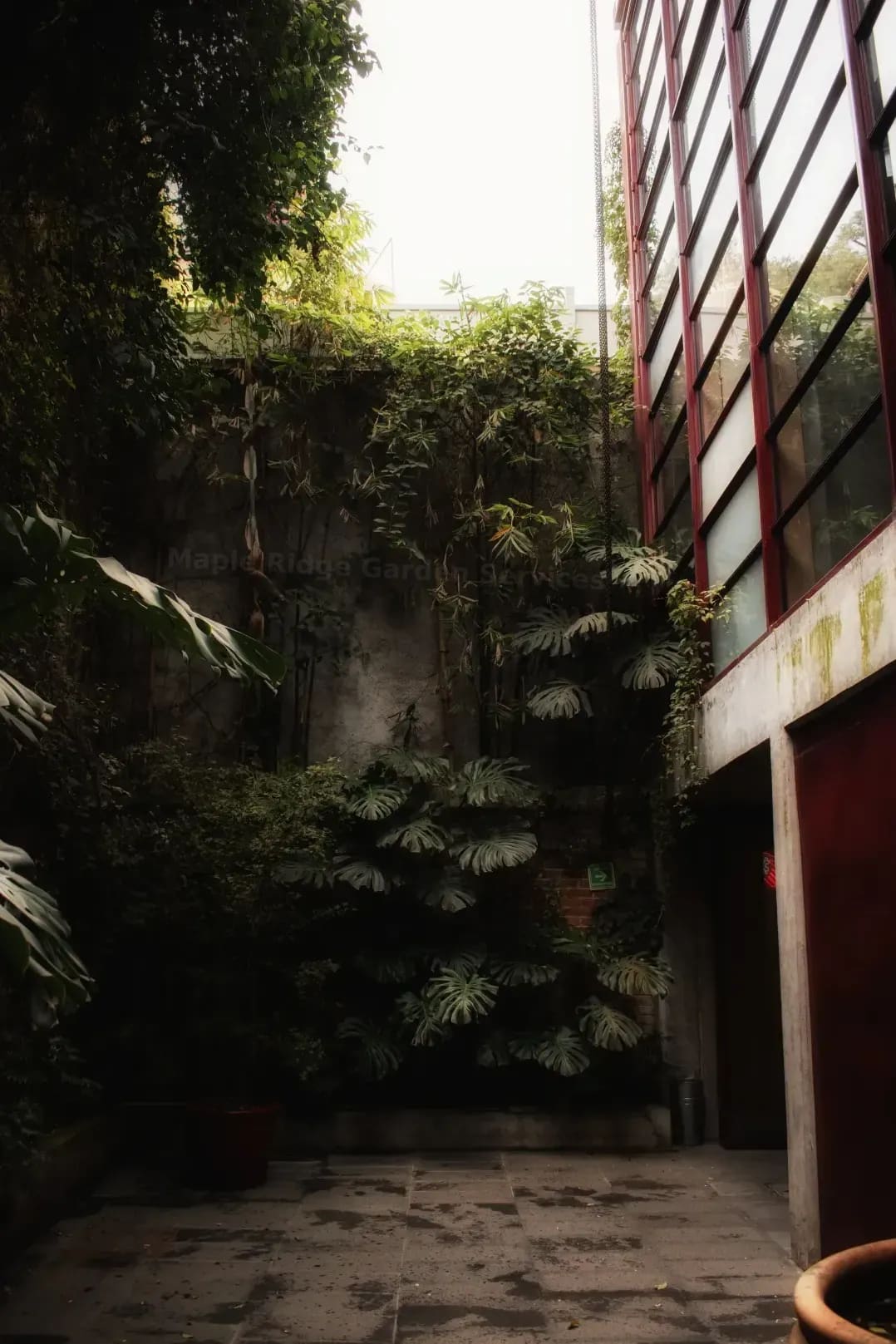 Maple Ridge Garden Services 7