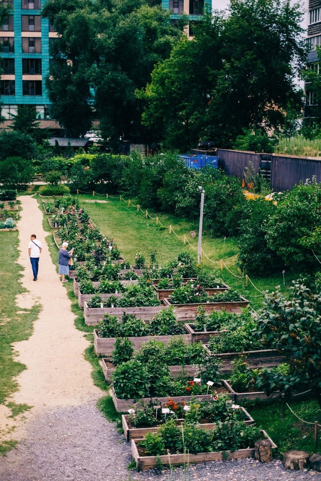 Planting and garden bed design